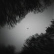 050